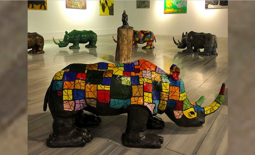 Raising Awareness for Our World Through Rhinos
