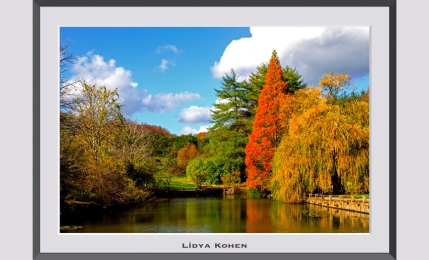 Virtual Mixed Photography Exhibition @ JudArt