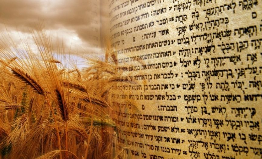 Shavuot is Coming
