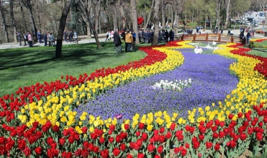 Tulips everywhere as Istanbul kicks off spring festival