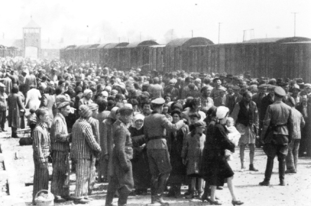Auschwitz’e varış ve seçim süreci: Yaşamla ölüm arasında ince çizgi