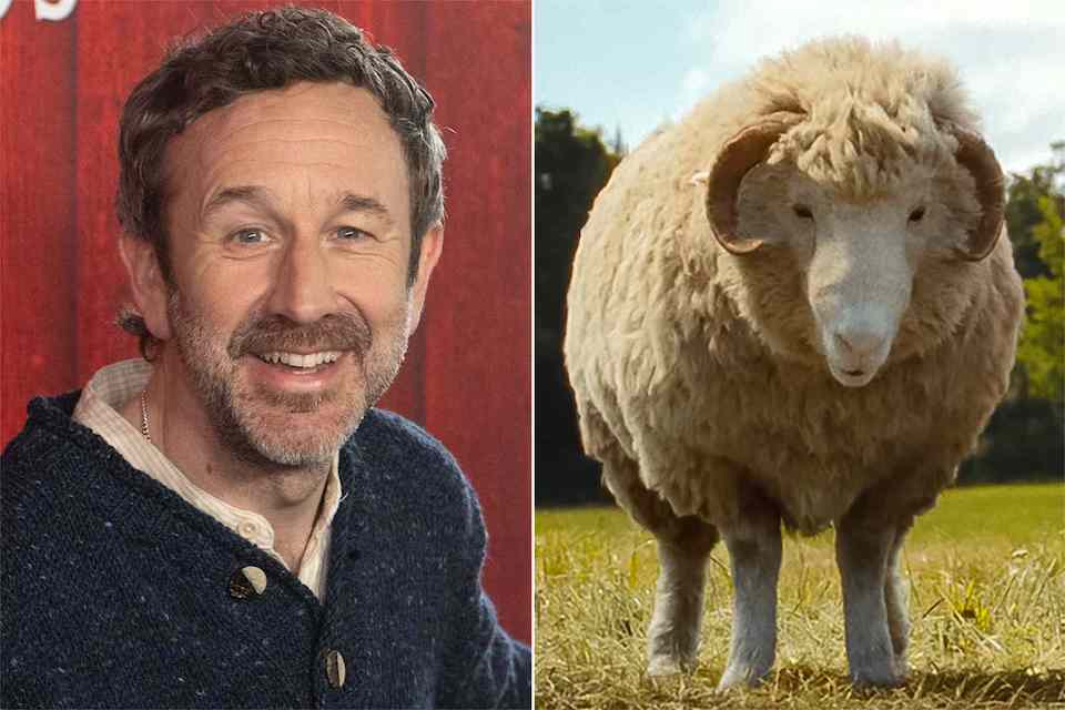Chris O'Dowd - as the voice of Mopple The Sheep Detectives - Chris O'Dowd