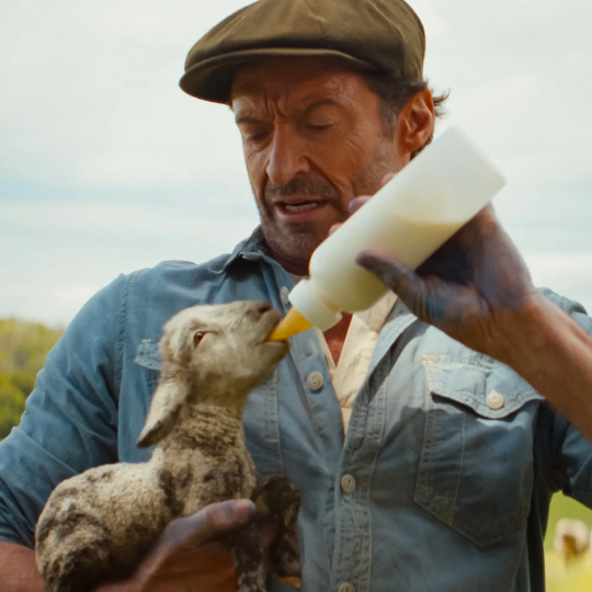 The Sheep Detectives - Hugh Jackman