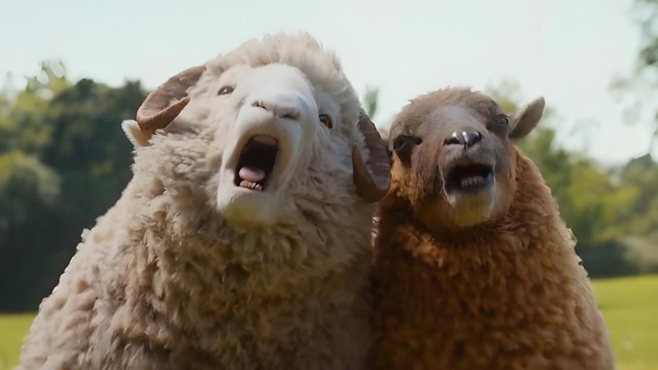 The Sheep Detectives