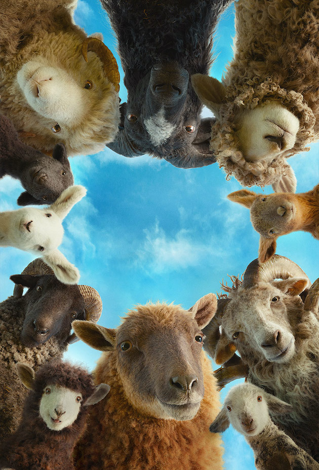 The Sheep Detectives
