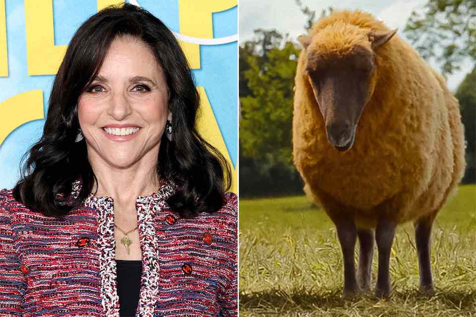 Julia Louis Dreyfus - as the voice of Lily The Sheep Detectives - Julia Louis Dreyfus
