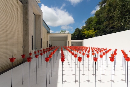 Renate Bertlmann, Discordo Ergo Sum, knife-rose field, installation view, Austrian Pavilion, Venice Art Biennale 2019. Photo © Riccardo Bianchini / Inexhibit