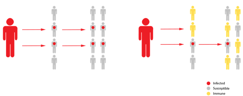 The Covid-19 pandemic in two animated charts