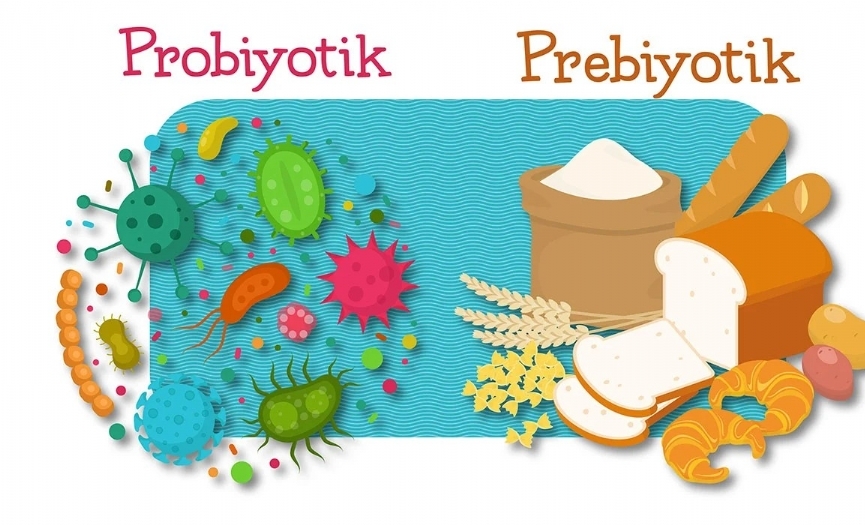 Probiyotikler ve mikrobiyota: ocuklarda sindirim salnn yeni yz