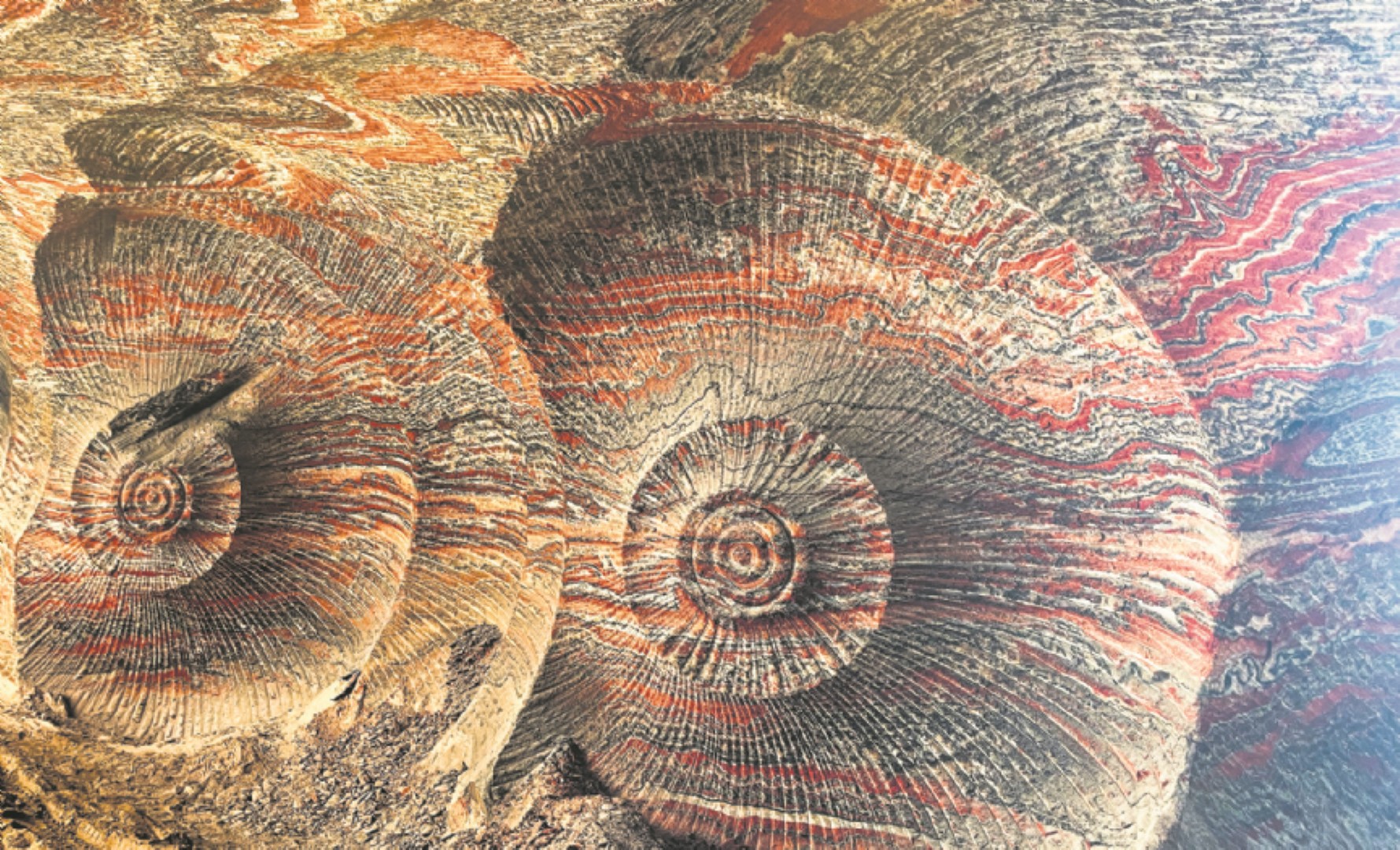 Dnen Yeryz: Burtynsky´nin Objektifinden Doann l