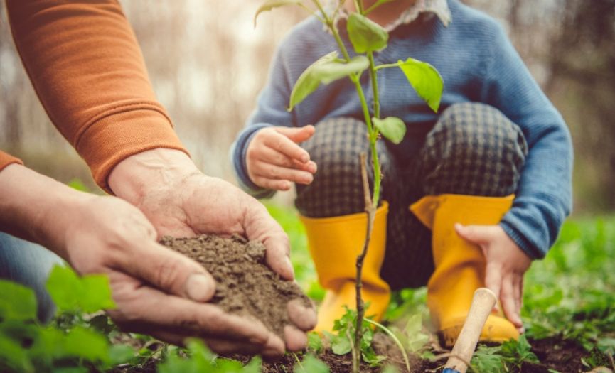 Tu BiShvat: New Year for Trees