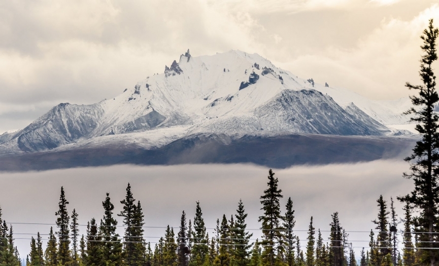 Alaska ve Ontario Kurtlar�