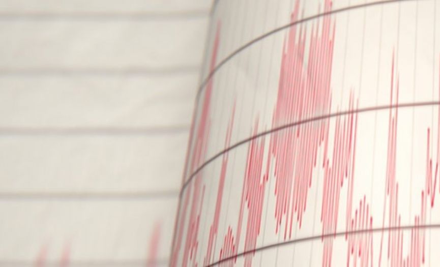 Deprem felaketleri organizasyonsuzluk problemidir!