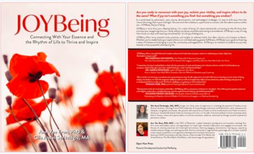 JOYBeing: A Guide Full of Hope for Those Lost in the Chaos of Life