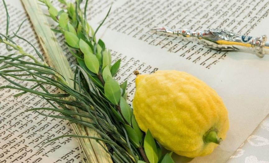 The Festival of All World Nations: SUKKOT