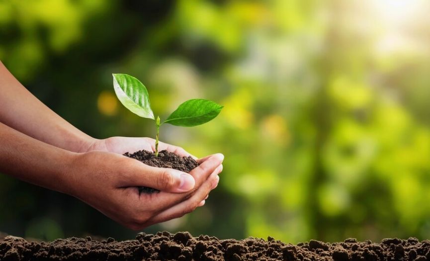Tanrı´yı ağaçlar ve doğanın içinde görebilmek TU BİŞVAT