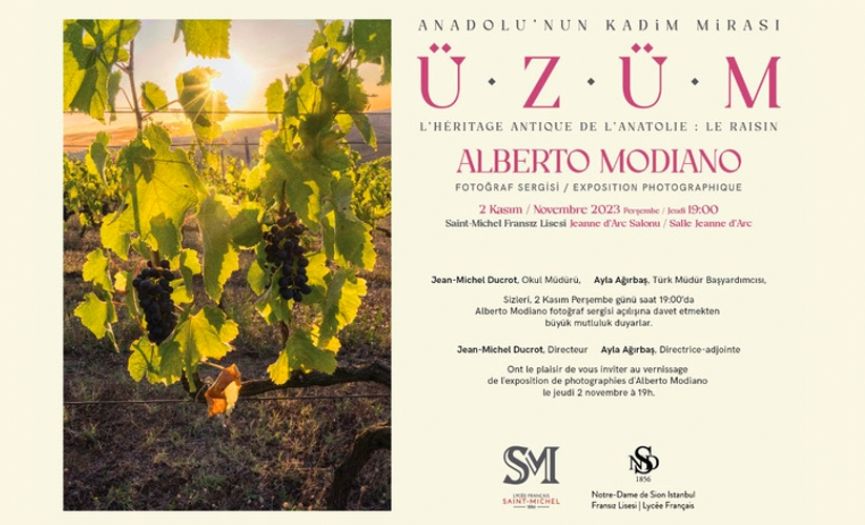 Alberto Modiano´s "Grape" Exhibition at Saint Michel High School