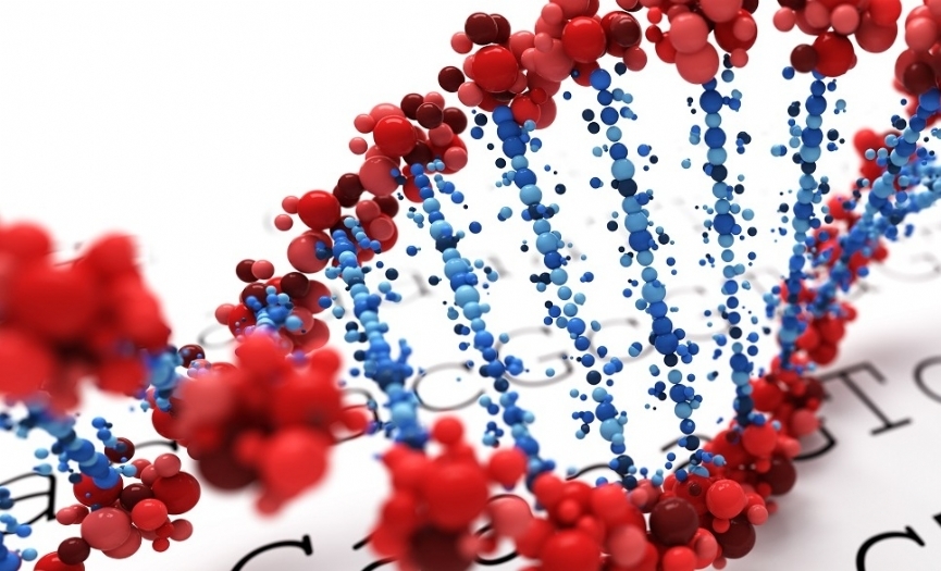 Genetikten epigenetiğe kısa bir tarih