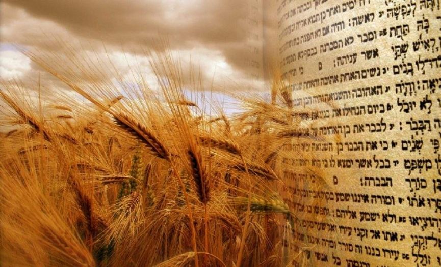 AVUOT - Tora´mzn verilmeye baland zaman