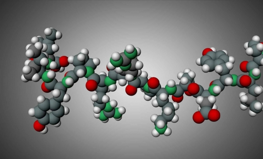 SALIKTA YEN DL: PEPTTLER
