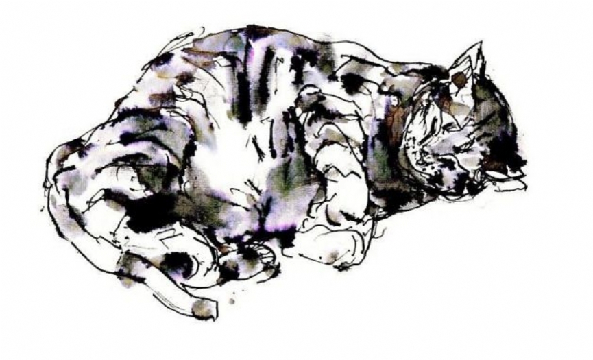 Spinoza&acute;n�n eskiz defteri G�rmek, �izmek ve var olmak